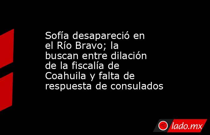 Sofía desapareció en el Río Bravo; la buscan entre dilación de la fiscalía de Coahuila y falta de respuesta de consulados. Noticias en tiempo real
