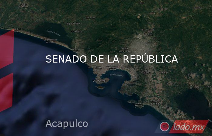 SENADO DE LA REPÚBLICA. Noticias en tiempo real