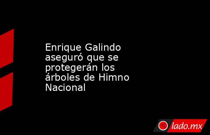 Enrique Galindo aseguró que se protegerán los árboles de Himno Nacional. Noticias en tiempo real