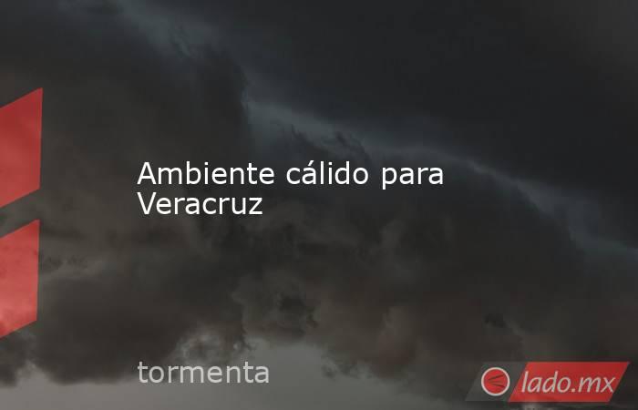 Ambiente cálido para Veracruz. Noticias en tiempo real