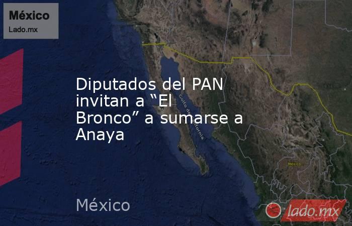 Diputados del PAN invitan a “El Bronco” a sumarse a Anaya. Noticias en tiempo real