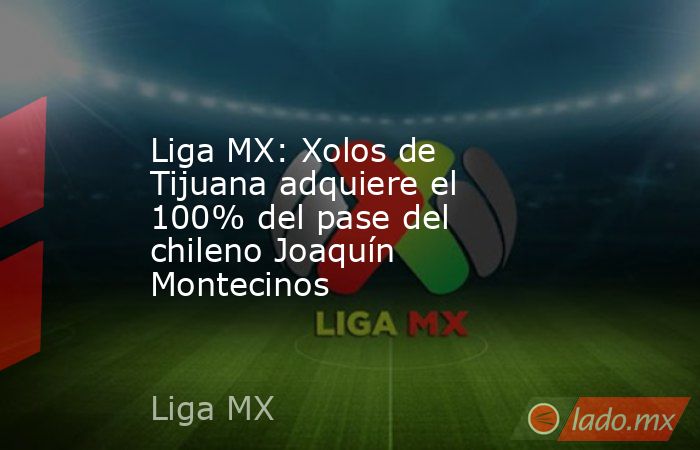 Liga MX: Xolos de Tijuana adquiere el 100% del pase del chileno Joaquín Montecinos. Noticias en tiempo real