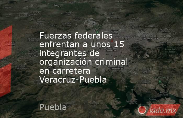 Fuerzas federales enfrentan a unos 15 integrantes de organización criminal en carretera Veracruz-Puebla. Noticias en tiempo real