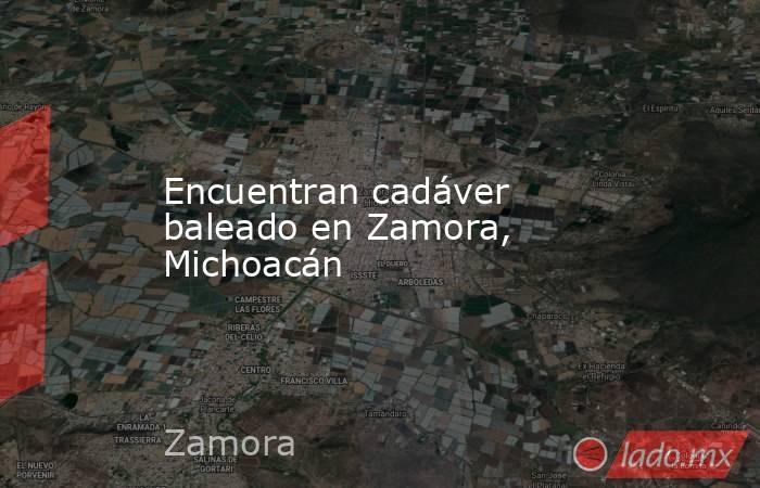Encuentran cadáver baleado en Zamora, Michoacán. Noticias en tiempo real