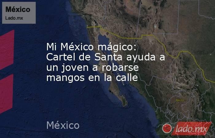 Mi México mágico: Cartel de Santa ayuda a un joven a robarse mangos en la calle. Noticias en tiempo real