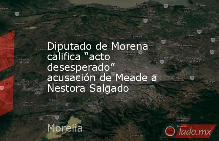 Diputado de Morena califica “acto desesperado” acusación de Meade a Nestora Salgado. Noticias en tiempo real