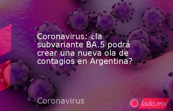 Coronavirus: ¿la subvariante BA.5 podrá crear una nueva ola de contagios en Argentina?. Noticias en tiempo real