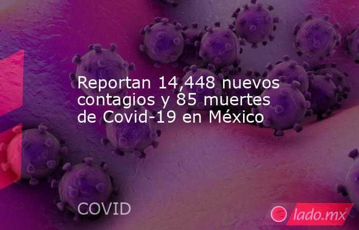 Reportan 14,448 nuevos contagios y 85 muertes de Covid-19 en México. Noticias en tiempo real
