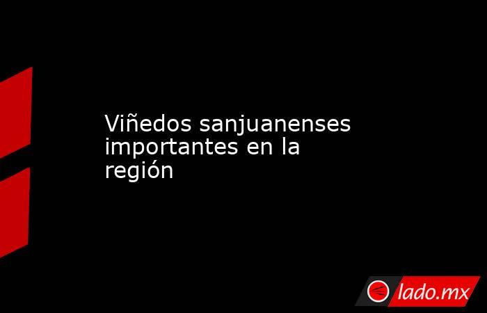 Viñedos sanjuanenses importantes en la región. Noticias en tiempo real