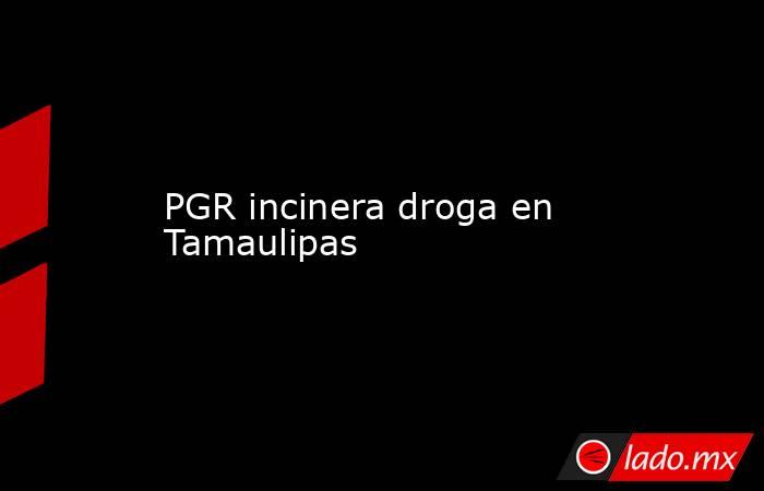 PGR incinera droga en Tamaulipas. Noticias en tiempo real