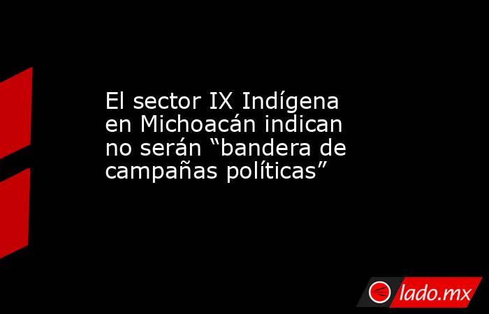 El sector IX Indígena en Michoacán indican no serán “bandera de campañas políticas”. Noticias en tiempo real