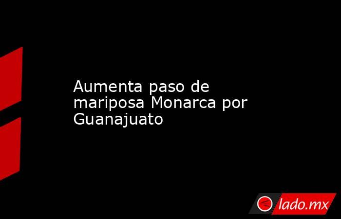 Aumenta paso de mariposa Monarca por Guanajuato. Noticias en tiempo real