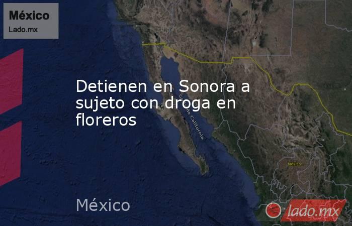 Detienen en Sonora a sujeto con droga en floreros   . Noticias en tiempo real