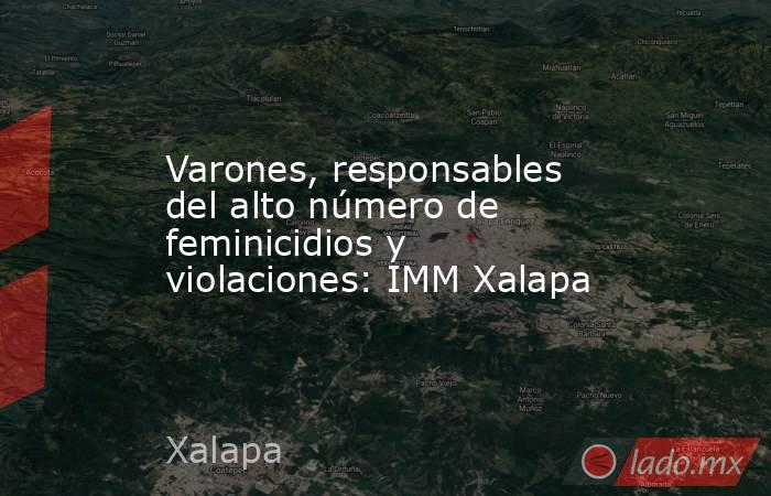 Varones, responsables del alto número de feminicidios y violaciones: IMM Xalapa. Noticias en tiempo real