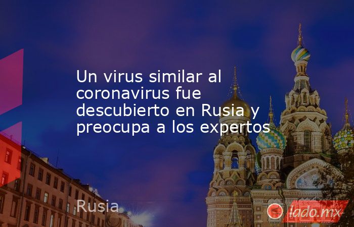 Un virus similar al coronavirus fue descubierto en Rusia y preocupa a los expertos. Noticias en tiempo real