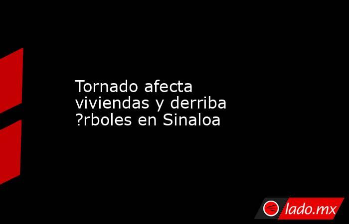 Tornado afecta viviendas y derriba ?rboles en Sinaloa. Noticias en tiempo real