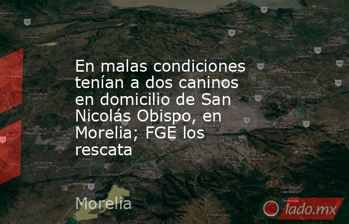 En malas condiciones tenían a dos caninos en domicilio de San Nicolás Obispo, en Morelia; FGE los rescata. Noticias en tiempo real