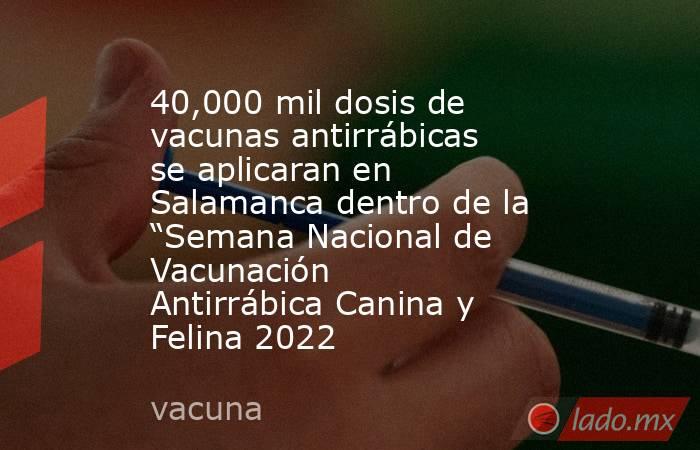 40,000 mil dosis de vacunas antirrábicas se aplicaran en Salamanca dentro de la “Semana Nacional de Vacunación Antirrábica Canina y Felina 2022. Noticias en tiempo real