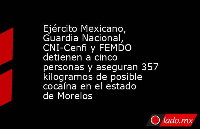 Ejército Mexicano, Guardia Nacional, CNI-Cenfi y FEMDO detienen a cinco personas y aseguran 357 kilogramos de posible cocaína en el estado de Morelos. Noticias en tiempo real