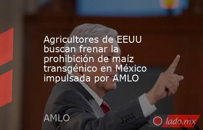 Agricultores de EEUU buscan frenar la prohibición de maíz transgénico en México impulsada por AMLO. Noticias en tiempo real