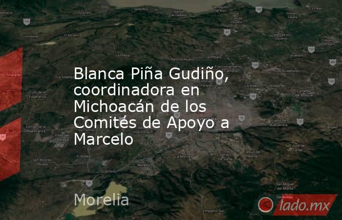 Blanca Piña Gudiño, coordinadora en Michoacán de los Comités de Apoyo a Marcelo. Noticias en tiempo real