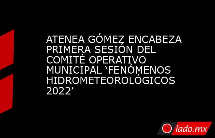 ATENEA GÓMEZ ENCABEZA PRIMERA SESIÓN DEL COMITÉ OPERATIVO MUNICIPAL ‘FENÓMENOS HIDROMETEOROLÓGICOS 2022’. Noticias en tiempo real