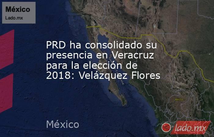 PRD ha consolidado su presencia en Veracruz para la elección de 2018: Velázquez Flores. Noticias en tiempo real