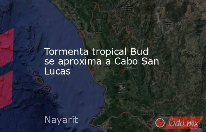 Tormenta tropical Bud se aproxima a Cabo San Lucas. Noticias en tiempo real