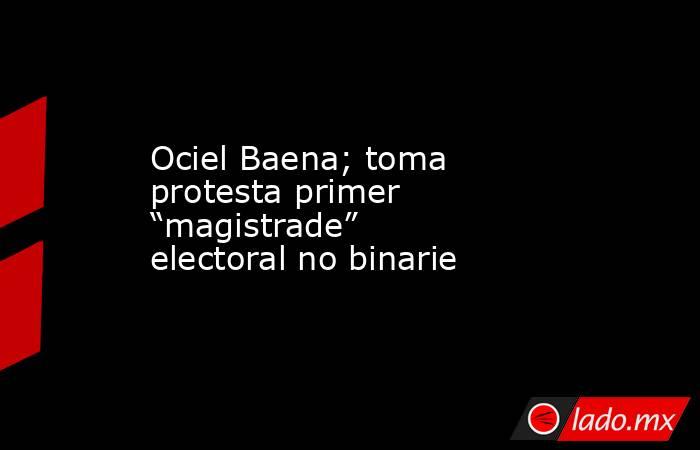 Ociel Baena; toma protesta primer “magistrade” electoral no binarie . Noticias en tiempo real