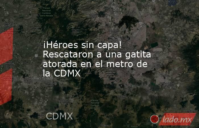 ¡Héroes sin capa! Rescataron a una gatita atorada en el metro de la CDMX. Noticias en tiempo real