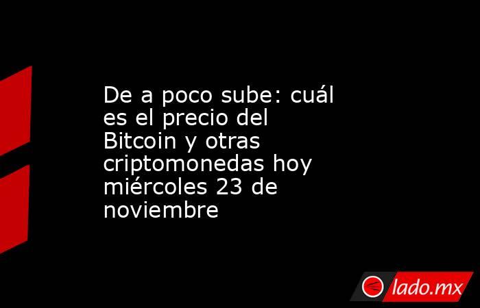 De a poco sube: cuál es el precio del Bitcoin y otras criptomonedas hoy miércoles 23 de noviembre. Noticias en tiempo real