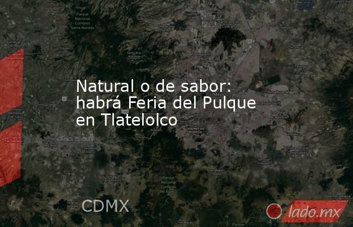 Natural o de sabor: habrá Feria del Pulque en Tlatelolco. Noticias en tiempo real