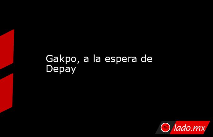Gakpo, a la espera de Depay. Noticias en tiempo real