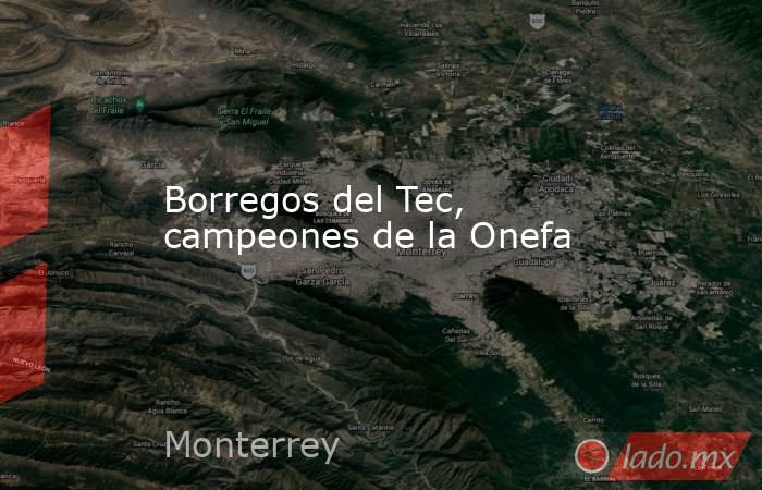 Borregos del Tec, campeones de la Onefa. Noticias en tiempo real