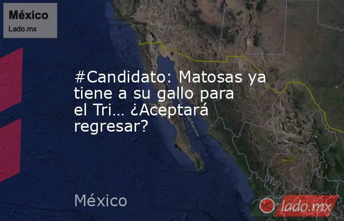 #Candidato: Matosas ya tiene a su gallo para el Tri… ¿Aceptará regresar?. Noticias en tiempo real