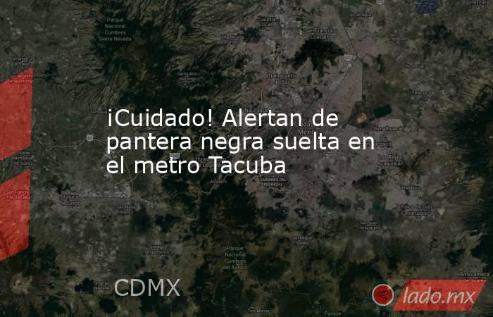 ¡Cuidado! Alertan de pantera negra suelta en el metro Tacuba. Noticias en tiempo real