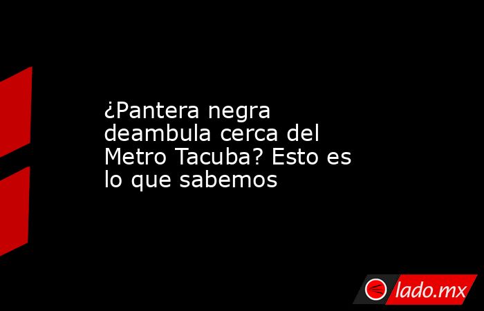 ¿Pantera negra deambula cerca del Metro Tacuba? Esto es lo que sabemos. Noticias en tiempo real