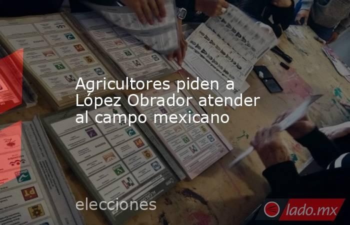 Agricultores piden a López Obrador atender al campo mexicano. Noticias en tiempo real