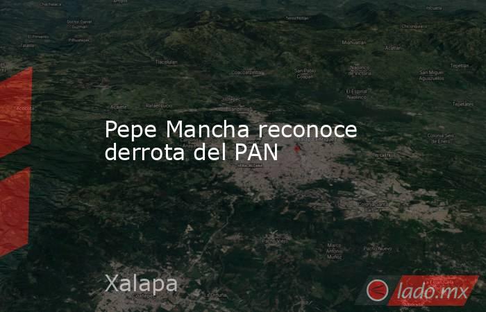 Pepe Mancha reconoce derrota del PAN. Noticias en tiempo real