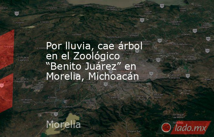 Por lluvia, cae árbol en el Zoológico “Benito Juárez” en Morelia, Michoacán. Noticias en tiempo real