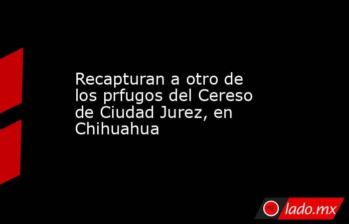 Recapturan a otro de los prfugos del Cereso de Ciudad Jurez, en Chihuahua. Noticias en tiempo real