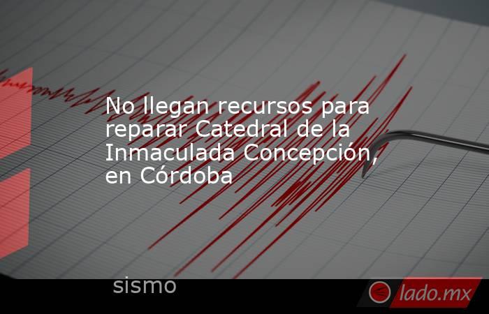 No llegan recursos para reparar Catedral de la Inmaculada Concepción, en Córdoba. Noticias en tiempo real