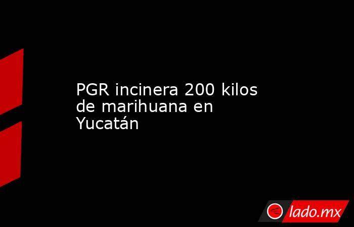 PGR incinera 200 kilos de marihuana en Yucatán. Noticias en tiempo real