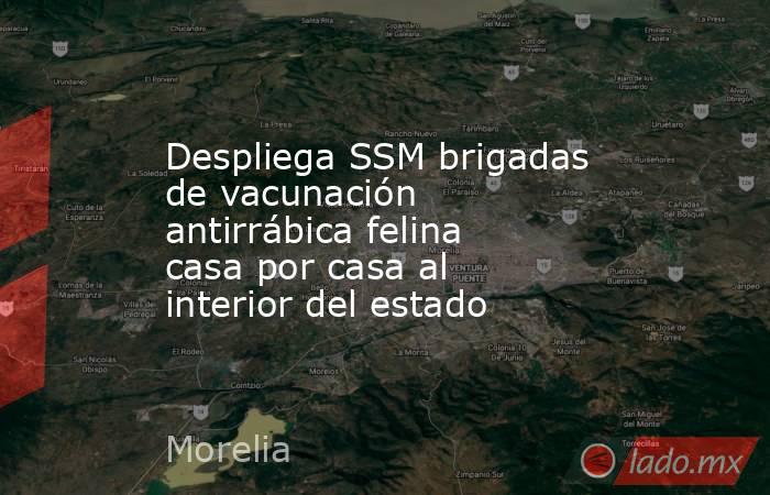 Despliega SSM brigadas de vacunación antirrábica felina casa por casa al interior del estado. Noticias en tiempo real