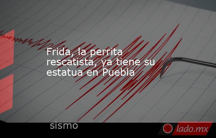 Frida, la perrita rescatista, ya tiene su estatua en Puebla. Noticias en tiempo real