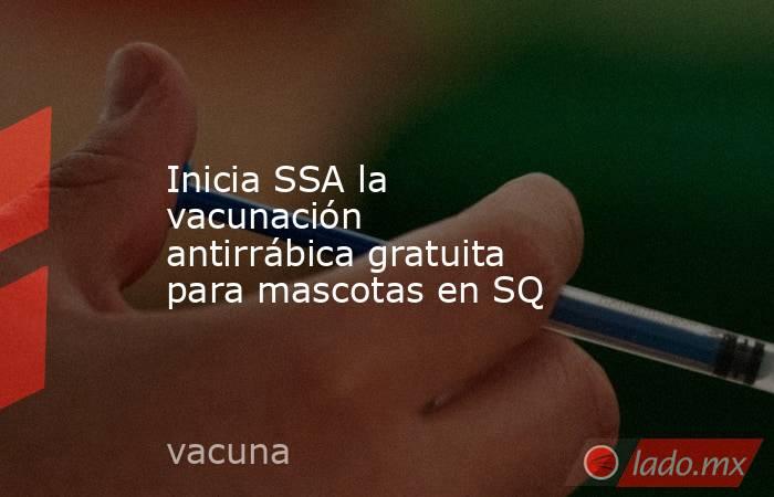 Inicia SSA la vacunación antirrábica gratuita para mascotas en SQ. Noticias en tiempo real