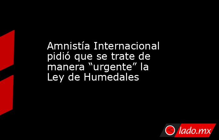 Amnistía Internacional pidió que se trate de manera “urgente” la Ley de Humedales. Noticias en tiempo real