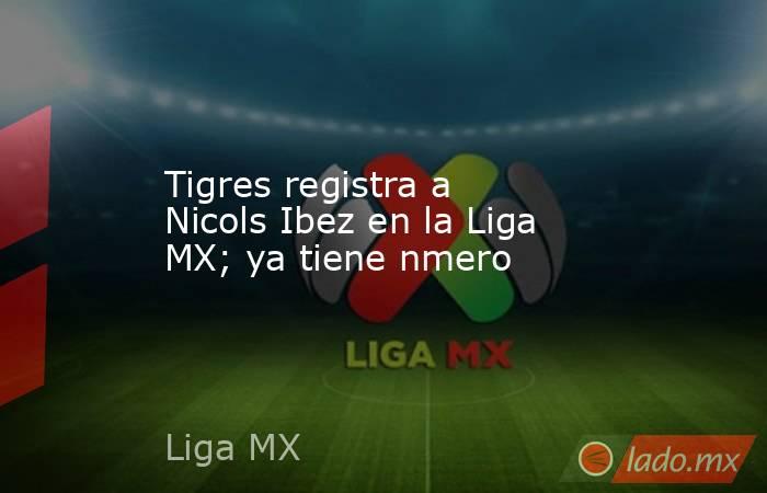 Tigres registra a Nicols Ibez en la Liga MX; ya tiene nmero. Noticias en tiempo real