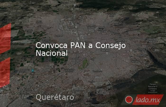Convoca PAN a Consejo Nacional. Noticias en tiempo real