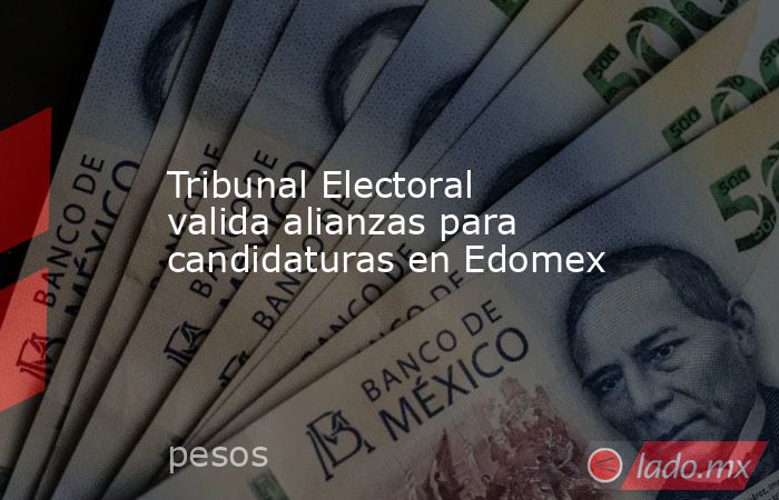 Tribunal Electoral valida alianzas para candidaturas en Edomex. Noticias en tiempo real